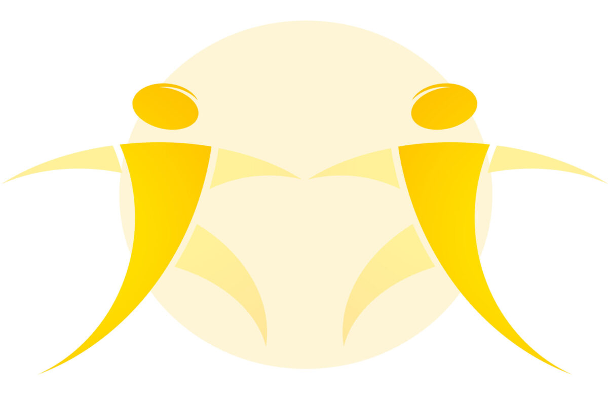 Neu_paartherapie_koeln_claudia_samson_coaching_online_positive_denken